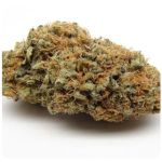 Шишки AK47 (Гидропоника, Бошка) VHQ в Симферополе Шишки AK47 (Гидропоника, Бошка) VHQ в Симферополе